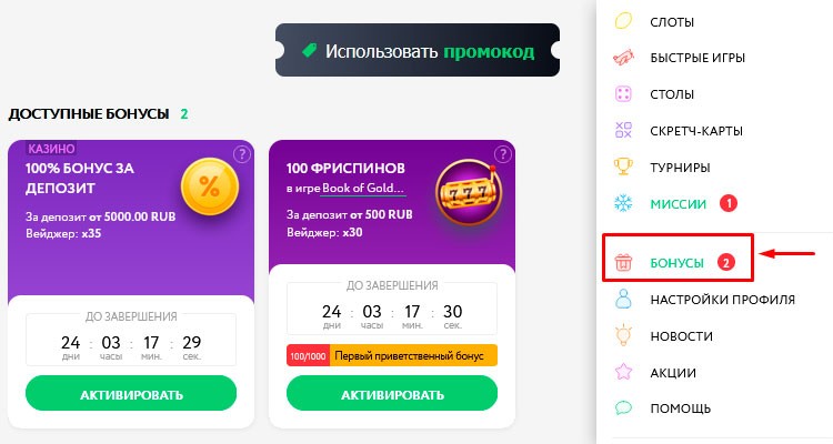 Раздел "Бонусы"